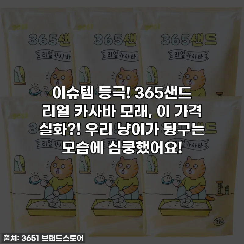 이슈템 등극! 365샌드 리얼 카사바 모래, 이 가격 실화?! 우리 냥이가 뒹구는 모습에 심쿵했어요!