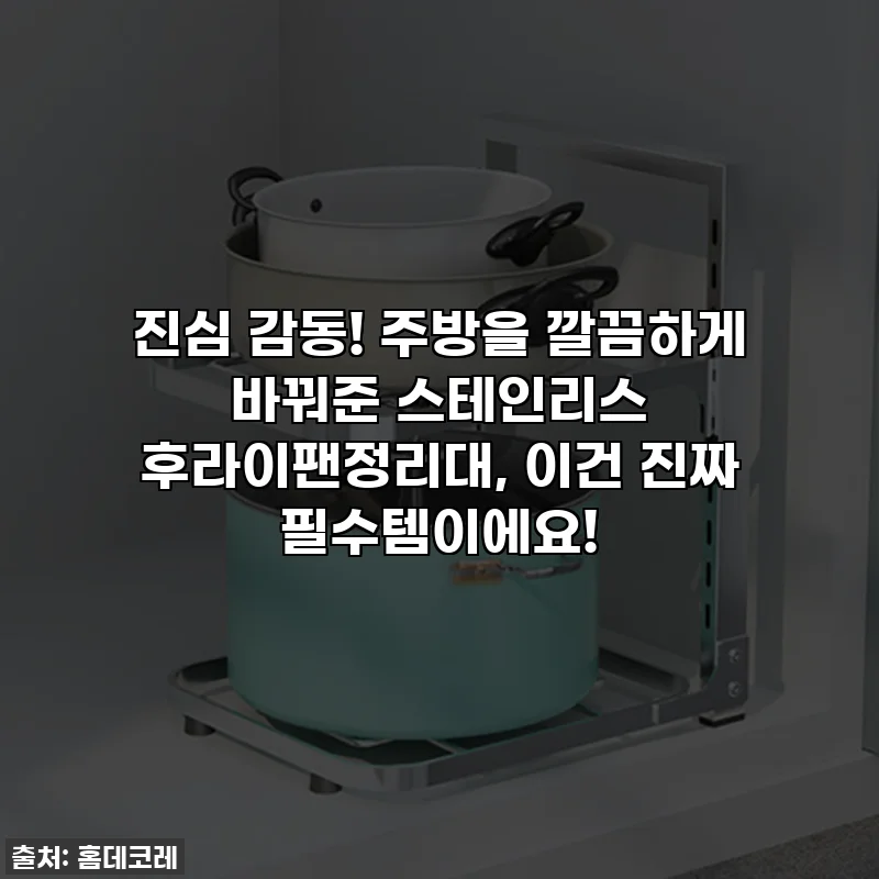 진심 감동! 주방을 깔끔하게 바꿔준 스테인리스 후라이팬정리대, 이건 진짜 필수템이에요!