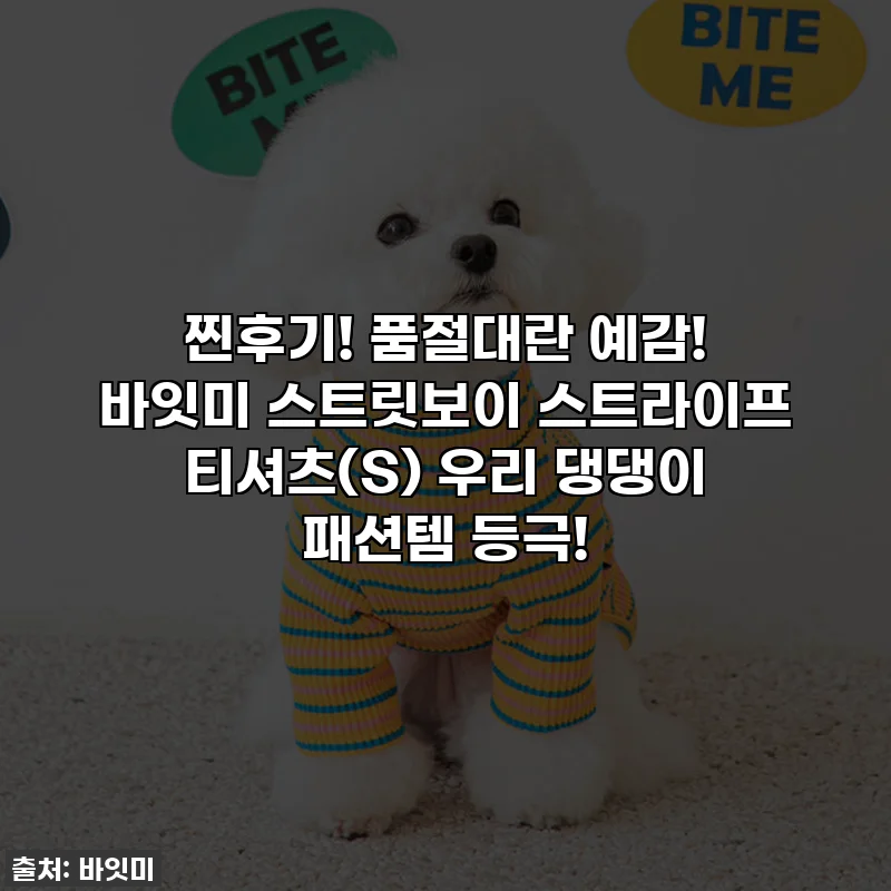 찐후기! 품절대란 예감! 바잇미 스트릿보이 스트라이프 티셔츠(S) 우리 댕댕이 패션템 등극!