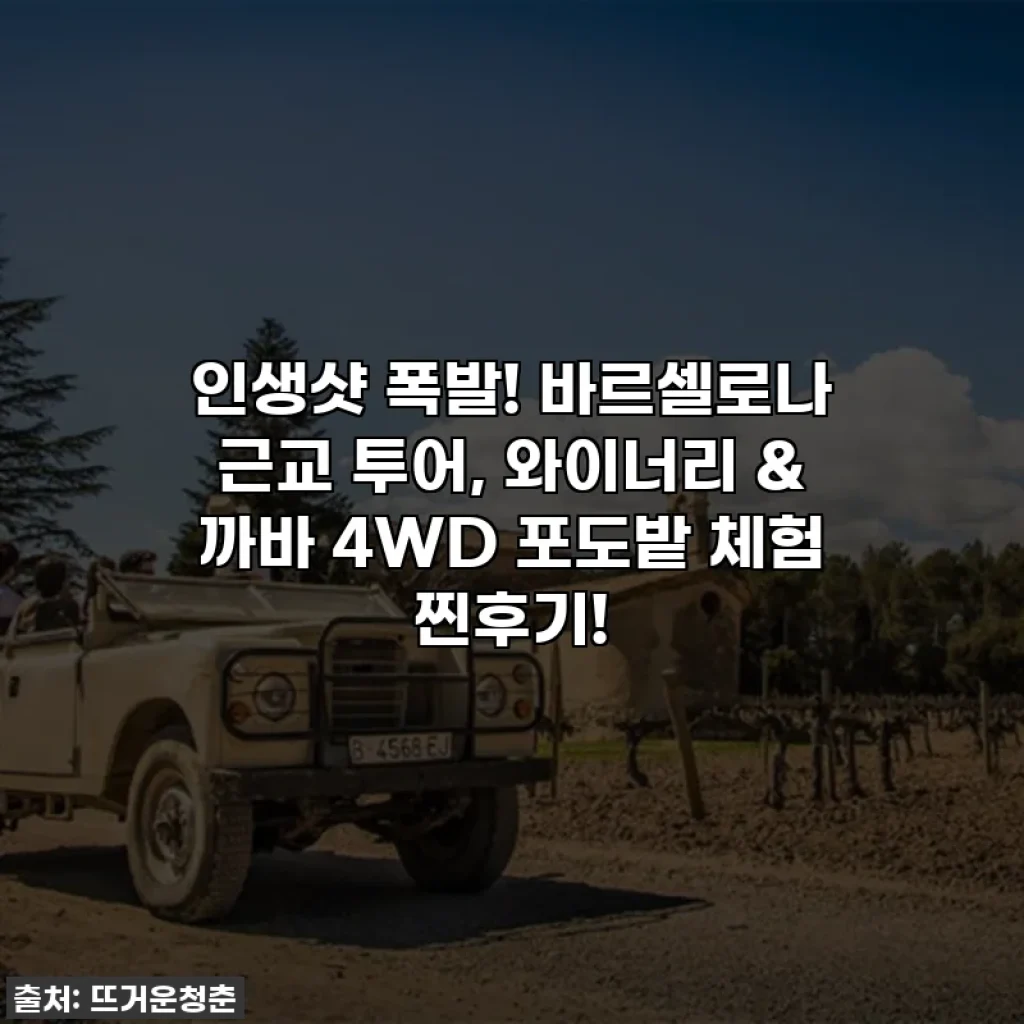 인생샷 폭발! 바르셀로나 근교 투어, 와이너리 & 까바 4WD 포도밭 체험 찐후기!