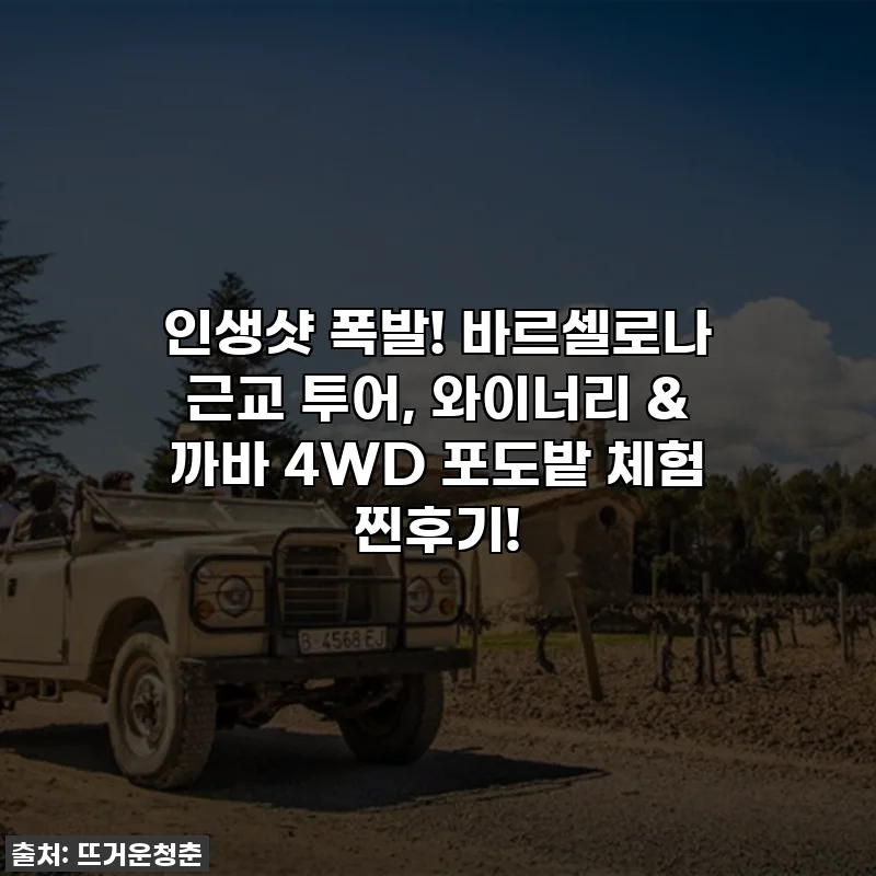 인생샷 폭발! 바르셀로나 근교 투어, 와이너리 & 까바 4WD 포도밭 체험 찐후기!