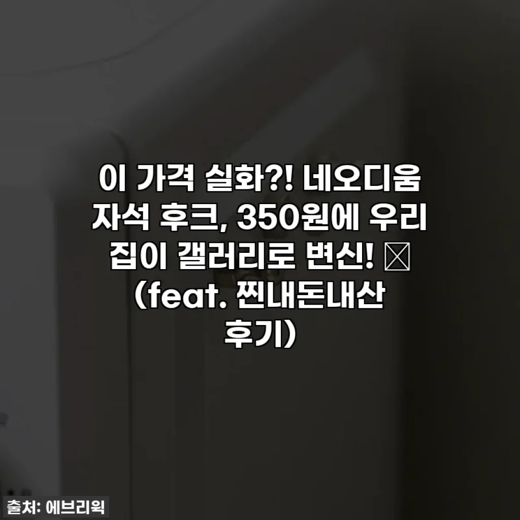 이 가격 실화?! 네오디움 자석 후크, 350원에 우리 집이 갤러리로 변신! ✨ (feat. 찐내돈내산 후기)