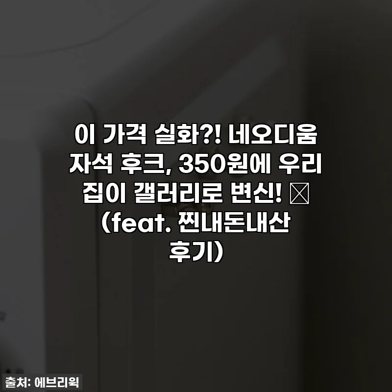 이 가격 실화?! 네오디움 자석 후크, 350원에 우리 집이 갤러리로 변신! ✨ (feat. 찐내돈내산 후기)