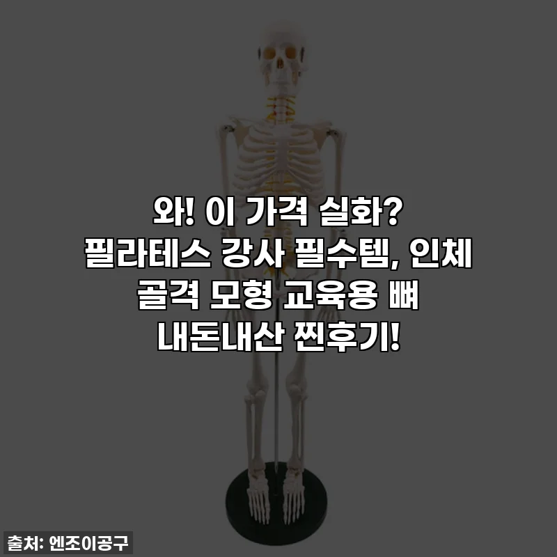 와! 이 가격 실화? 필라테스 강사 필수템, 인체 골격 모형 교육용 뼈 내돈내산 찐후기!