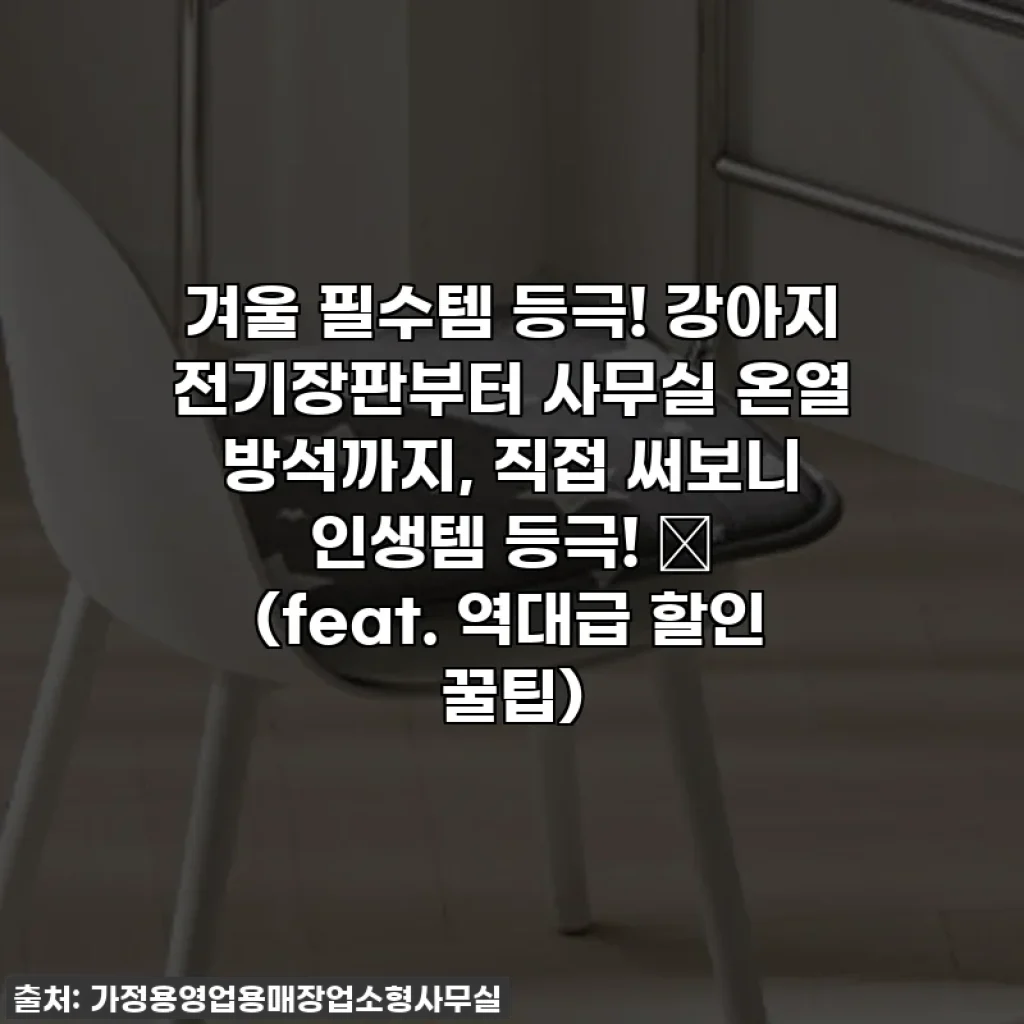겨울 필수템 등극! 강아지 전기장판부터 사무실 온열 방석까지, 직접 써보니 인생템 등극! ✨ (feat. 역대급 할인 꿀팁)