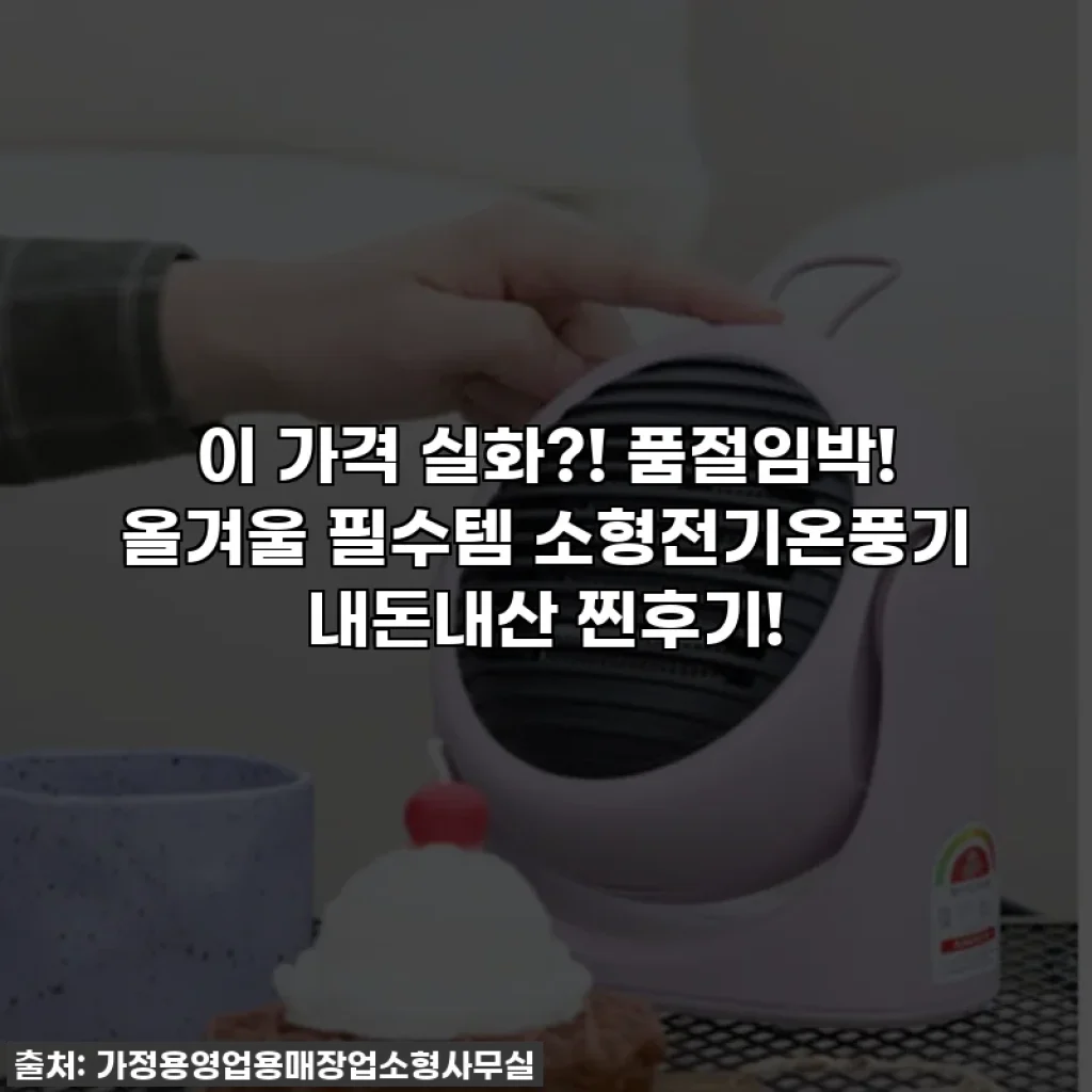 이 가격 실화?! 품절임박! 올겨울 필수템 소형전기온풍기 내돈내산 찐후기!