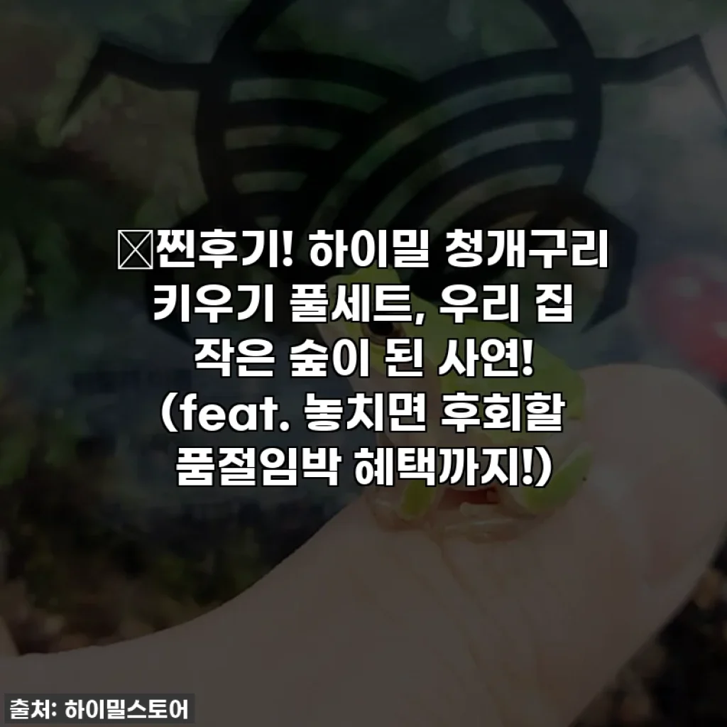 🐸찐후기! 하이밀 청개구리 키우기 풀세트, 우리 집 작은 숲이 된 사연! (feat. 놓치면 후회할 품절임박 혜택까지!)