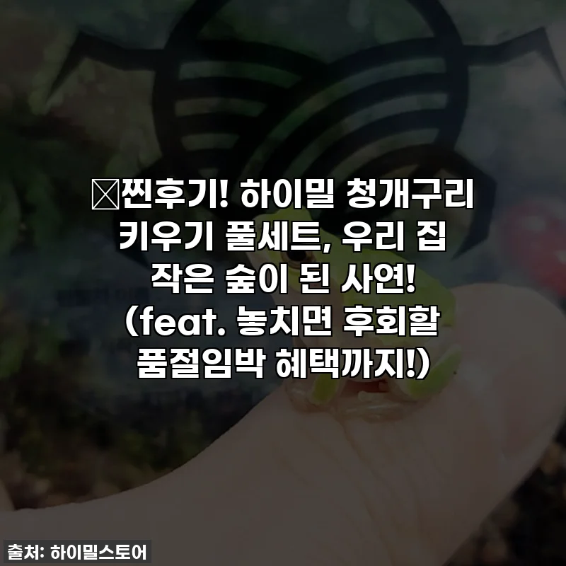 🐸찐후기! 하이밀 청개구리 키우기 풀세트, 우리 집 작은 숲이 된 사연! (feat. 놓치면 후회할 품절임박 혜택까지!)