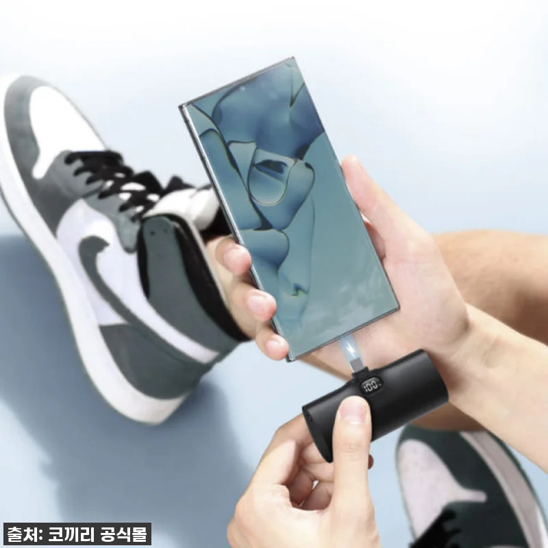 이건 무조건 사야 해! 코끼리 500 관련 이미지 1