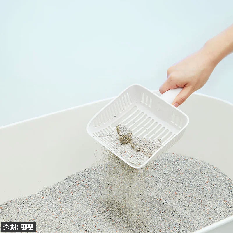 우리집 냥님 필수템! 냥쌤 감동모래 관련 이미지 2
