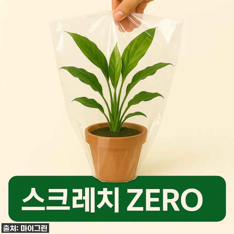 키우기 정말 쉬운데 공기정화까지? 아 관련 이미지 2
