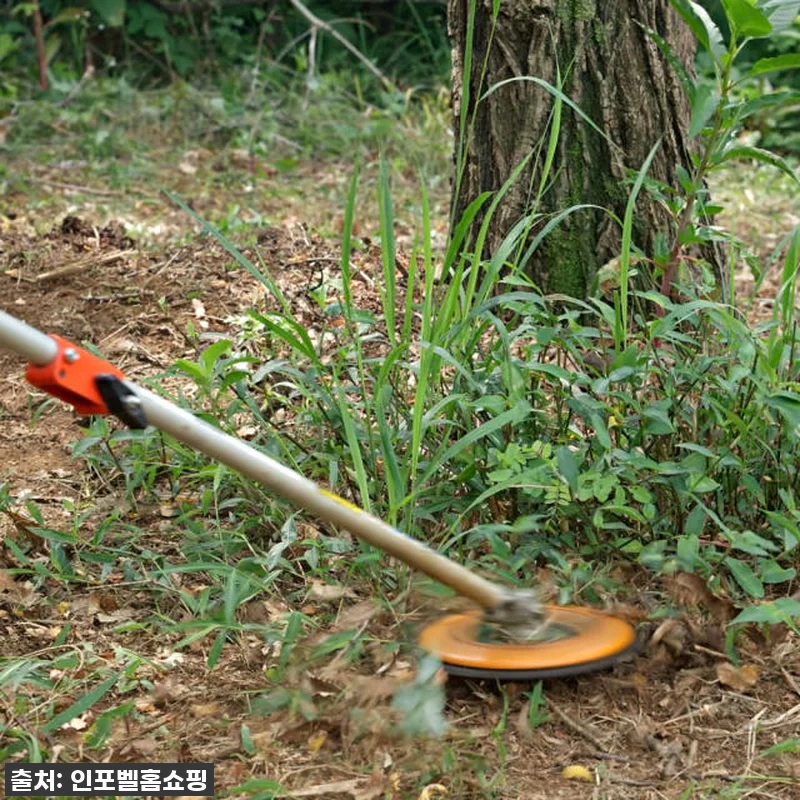 이건 무조건 찐후기! 🌿 슈퍼 붕붕이 관련 이미지 4