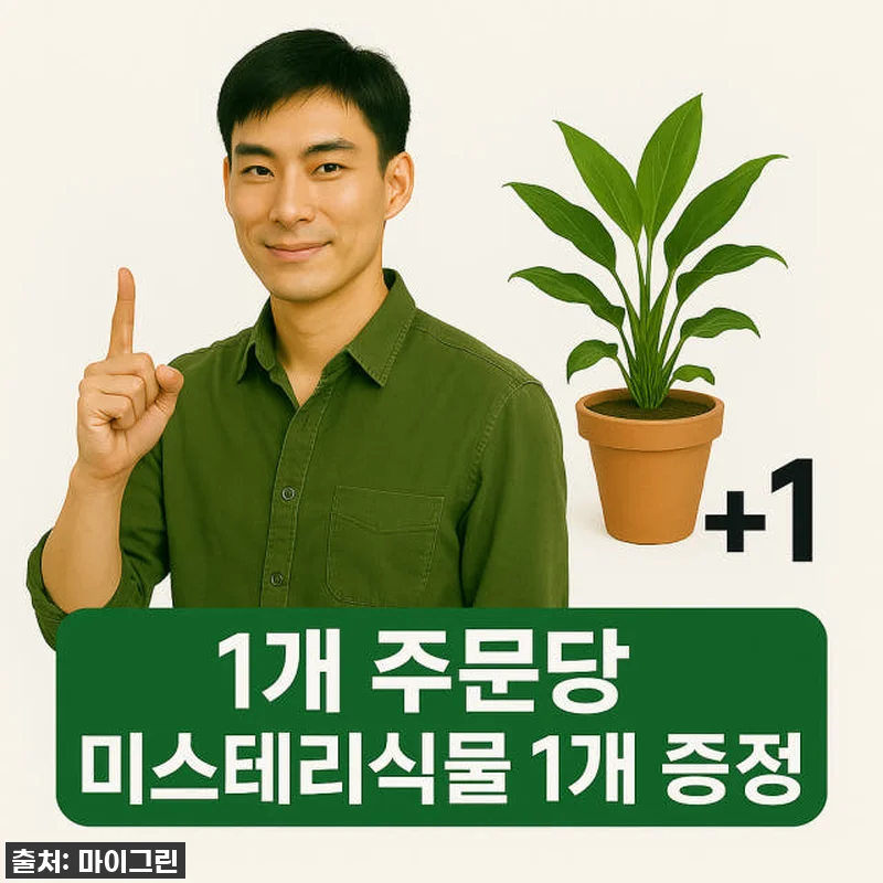 키우기 정말 쉬운데 공기정화까지? 아 관련 이미지 4