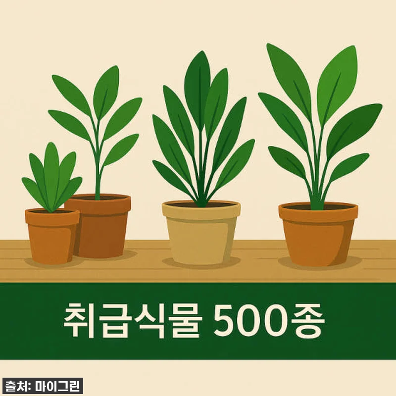 키우기 정말 쉬운데 공기정화까지? 아 관련 이미지 6