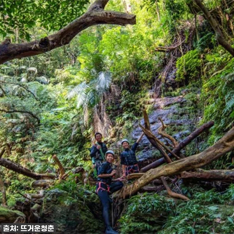 찐후기! 오키나와 얀바루 샤워 클라이 관련 이미지 7