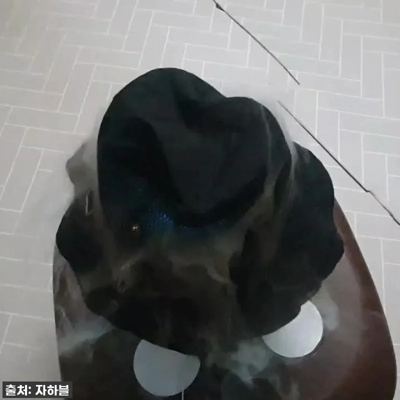 이 가격 실화?! 대두도 편안한 국산 관련 이미지 10
