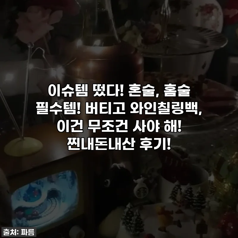이슈템 떴다! 혼술, 홈술 필수템! 버티고 와인칠링백, 이건 무조건 사야 해! 찐내돈내산 후기!