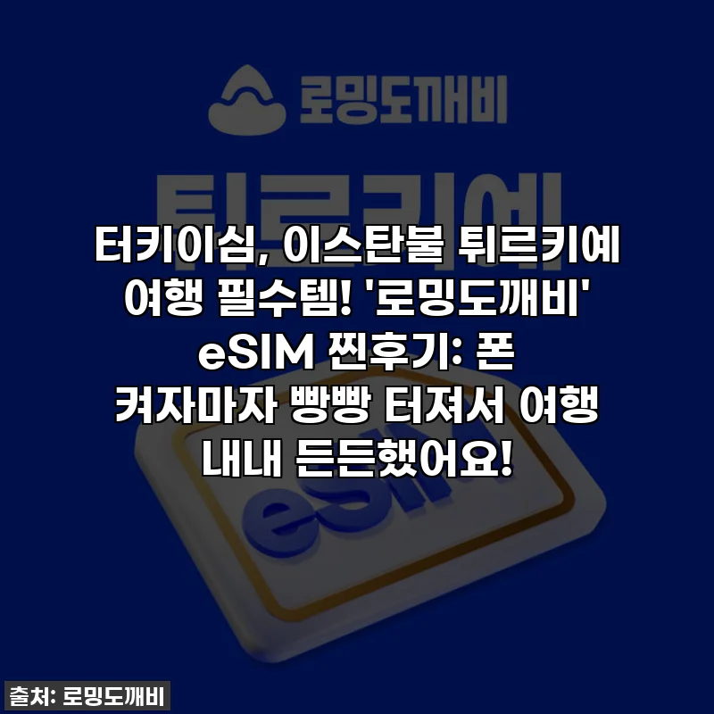 터키이심, 이스탄불 튀르키예 여행 필수템! '로밍도깨비' eSIM 찐후기: 폰 켜자마자 빵빵 터져서 여행 내내 든든했어요!