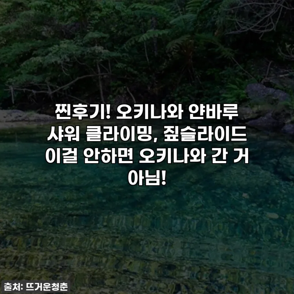 찐후기! 오키나와 얀바루 샤워 클라이밍, 짚슬라이드 이걸 안하면 오키나와 간 거 아님!