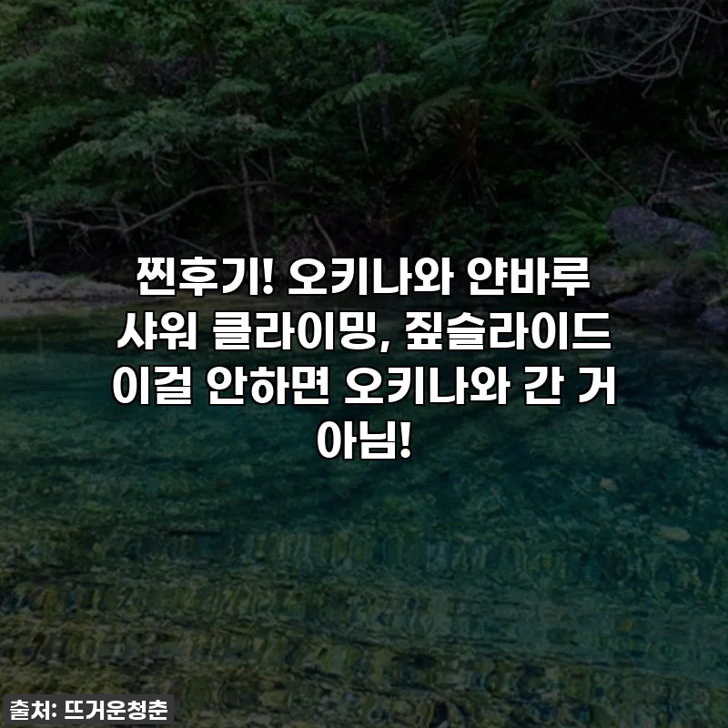 찐후기! 오키나와 얀바루 샤워 클라이밍, 짚슬라이드 이걸 안하면 오키나와 간 거 아님!