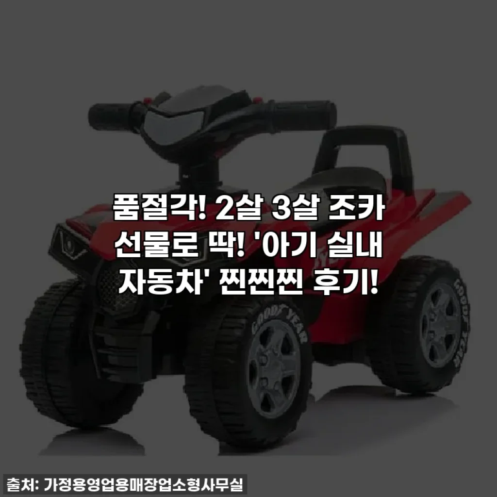 품절각! 2살 3살 조카 선물로 딱! '아기 실내 자동차' 찐찐찐 후기!