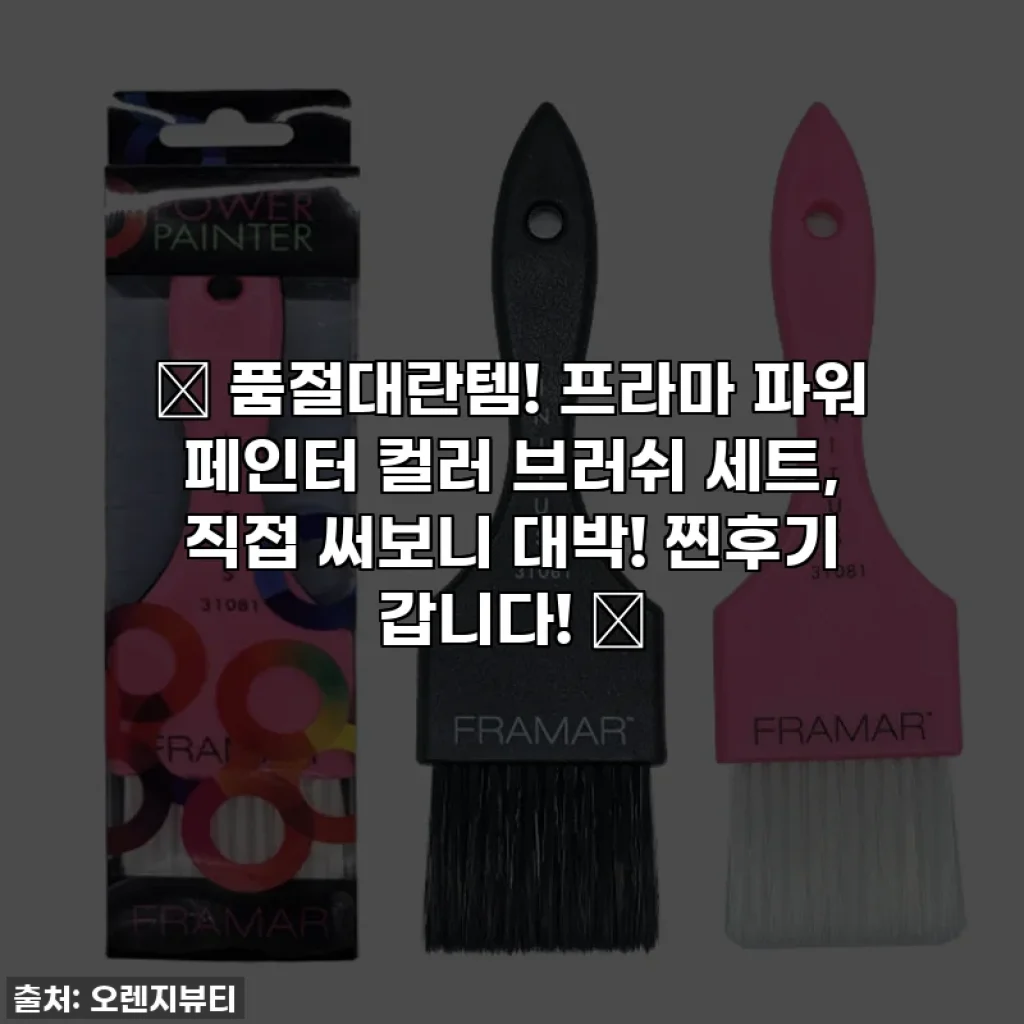 ✨ 품절대란템! 프라마 파워 페인터 컬러 브러쉬 세트, 직접 써보니 대박! 찐후기 갑니다! ✨
