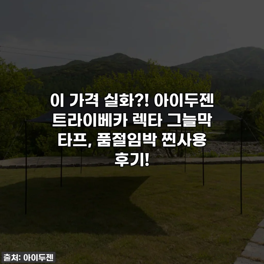 이 가격 실화?! 아이두젠 트라이베카 렉타 그늘막 타프, 품절임박 찐사용 후기!
