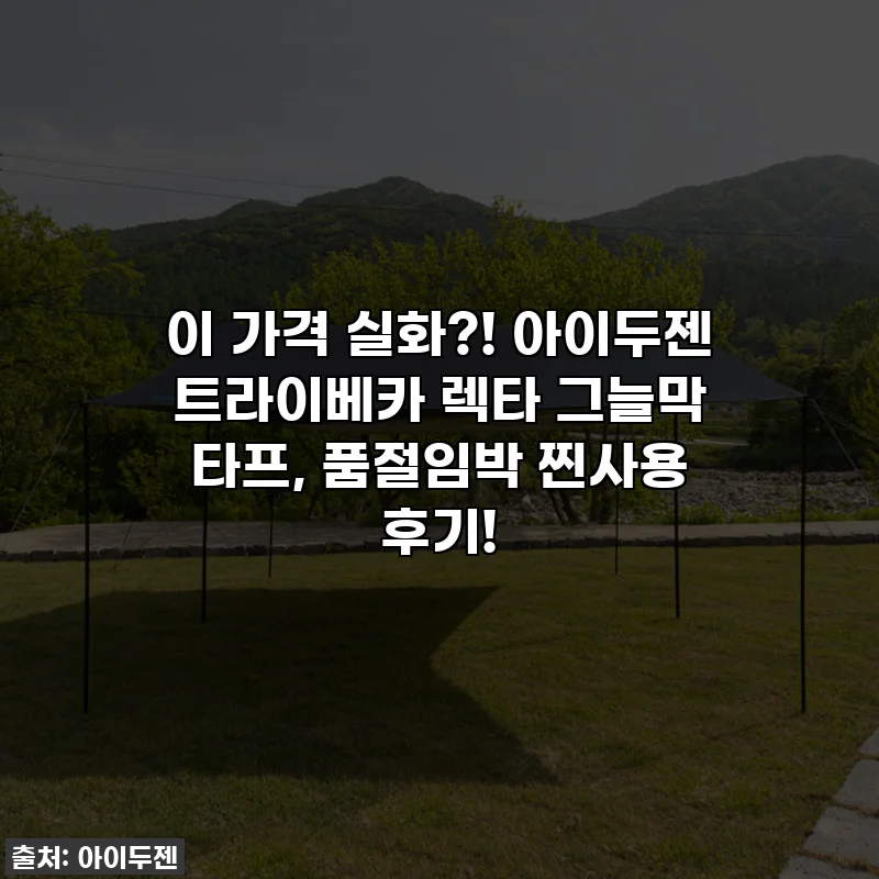 이 가격 실화?! 아이두젠 트라이베카 렉타 그늘막 타프, 품절임박 찐사용 후기!