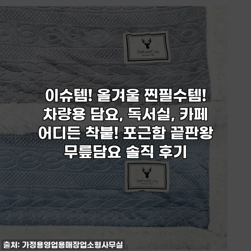 이슈템! 올겨울 찐필수템! 차량용 담요, 독서실, 카페 어디든 착붙! 포근함 끝판왕 무릎담요 솔직 후기