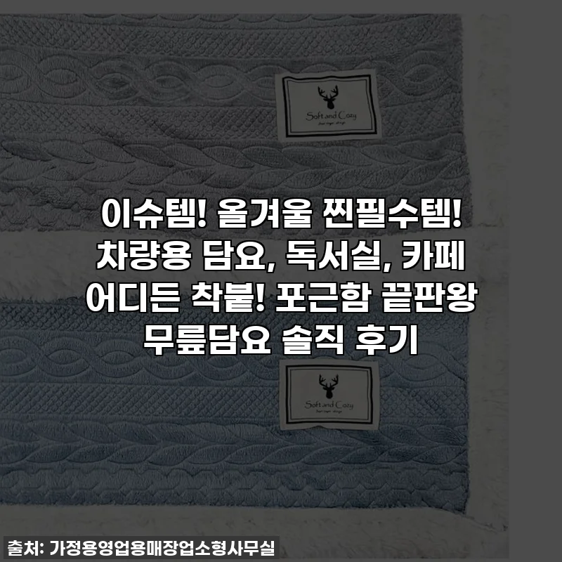 이슈템! 올겨울 찐필수템! 차량용 담요, 독서실, 카페 어디든 착붙! 포근함 끝판왕 무릎담요 솔직 후기