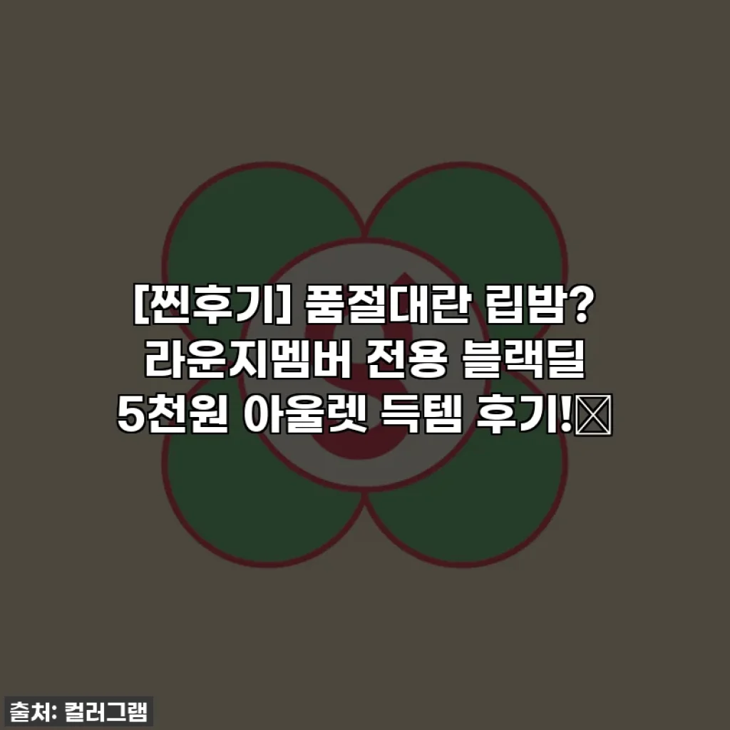[찐후기] 품절대란 립밤? 라운지멤버 전용 블랙딜 5천원 아울렛 득템 후기!🖤
