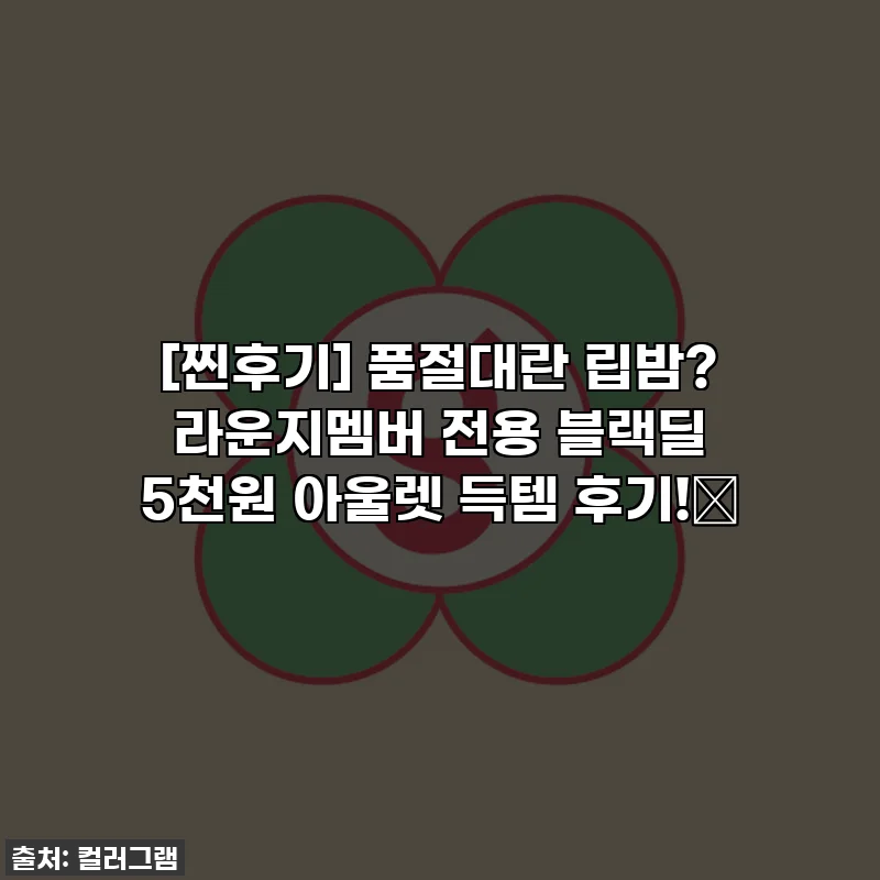 [찐후기] 품절대란 립밤? 라운지멤버 전용 블랙딜 5천원 아울렛 득템 후기!🖤