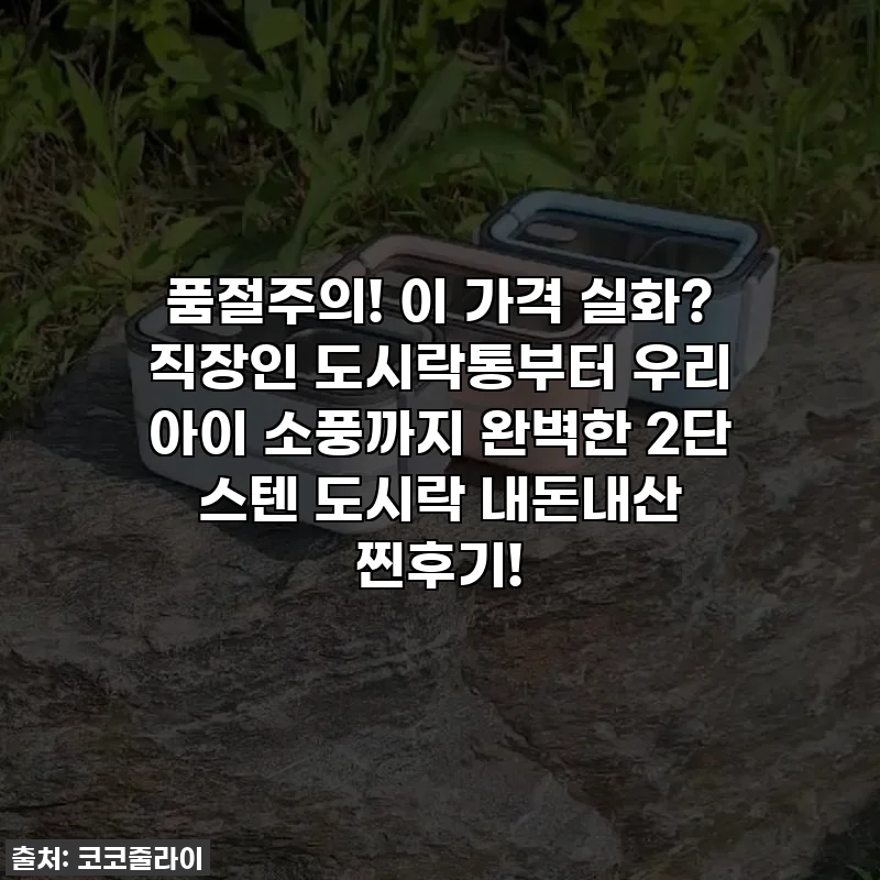 품절주의! 이 가격 실화? 직장인 도시락통부터 우리 아이 소풍까지 완벽한 2단 스텐 도시락 내돈내산 찐후기!