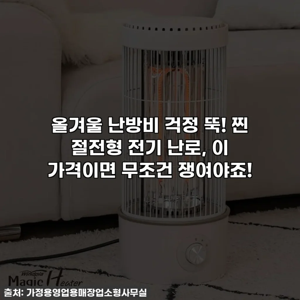 올겨울 난방비 걱정 뚝! 찐 절전형 전기 난로, 이 가격이면 무조건 쟁여야죠!