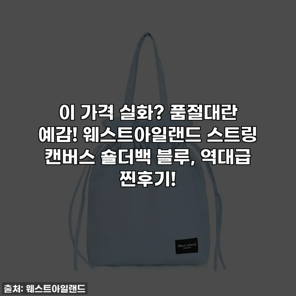 이 가격 실화? 품절대란 예감! 웨스트아일랜드 스트링 캔버스 숄더백 블루, 역대급 찐후기!