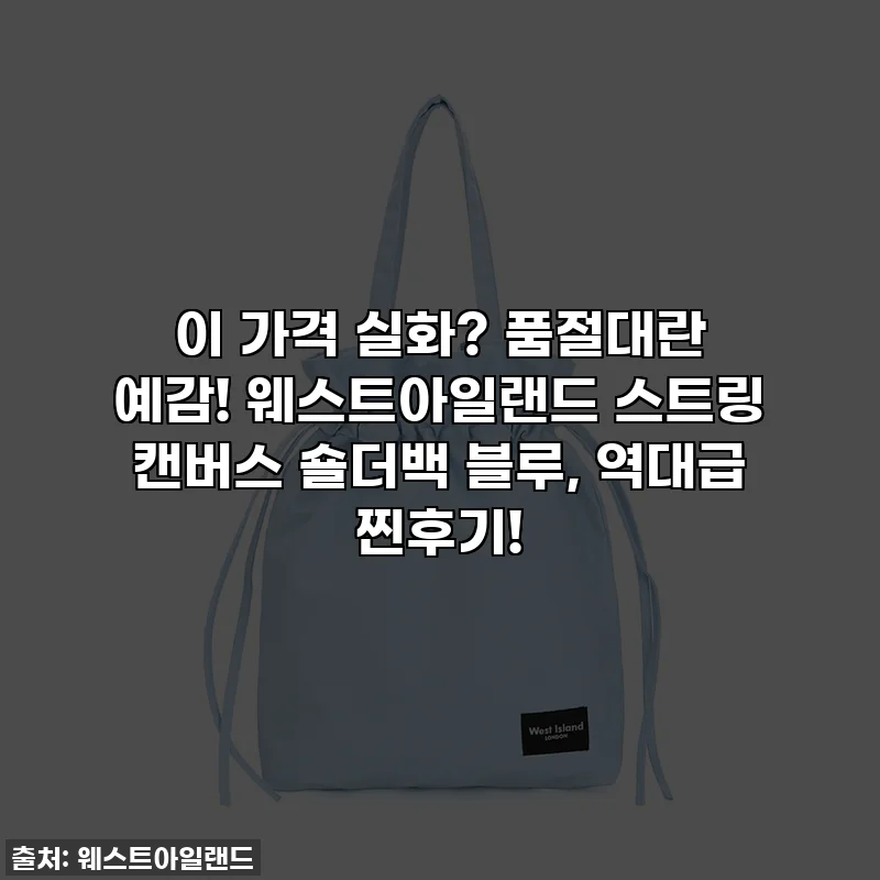 이 가격 실화? 품절대란 예감! 웨스트아일랜드 스트링 캔버스 숄더백 블루, 역대급 찐후기!