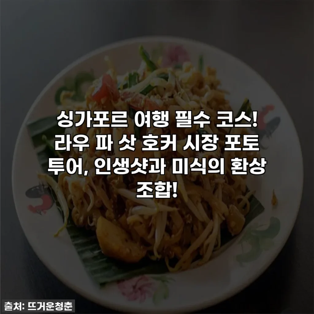 싱가포르 여행 필수 코스! 라우 파 삿 호커 시장 포토 투어, 인생샷과 미식의 환상 조합!
