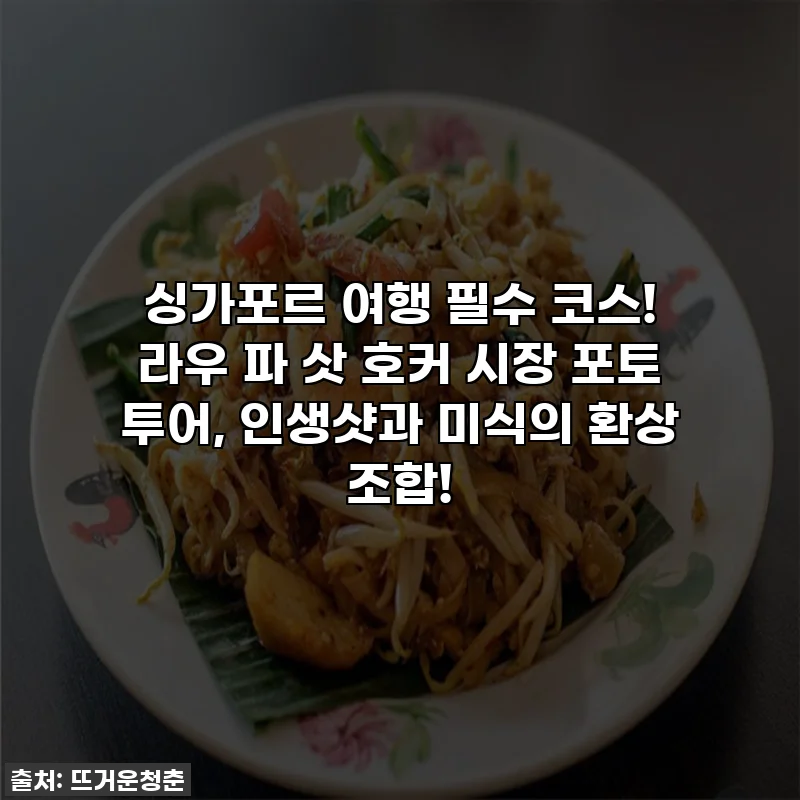 싱가포르 여행 필수 코스! 라우 파 삿 호커 시장 포토 투어, 인생샷과 미식의 환상 조합!