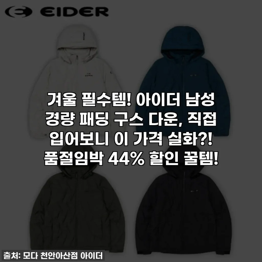 겨울 필수템! 아이더 남성 경량 패딩 구스 다운, 직접 입어보니 이 가격 실화?! 품절임박 44% 할인 꿀템!
