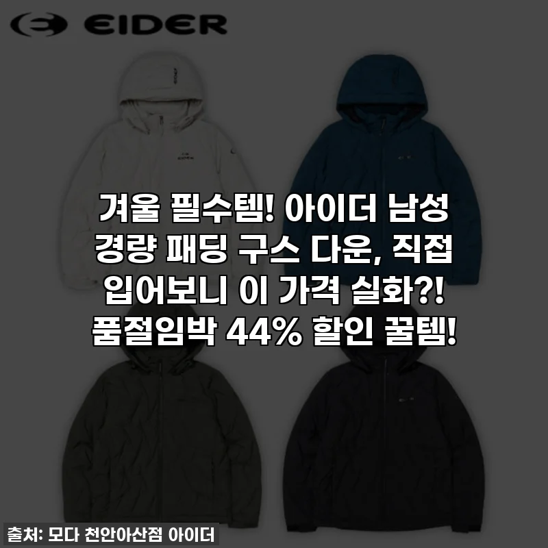 겨울 필수템! 아이더 남성 경량 패딩 구스 다운, 직접 입어보니 이 가격 실화?! 품절임박 44% 할인 꿀템!
