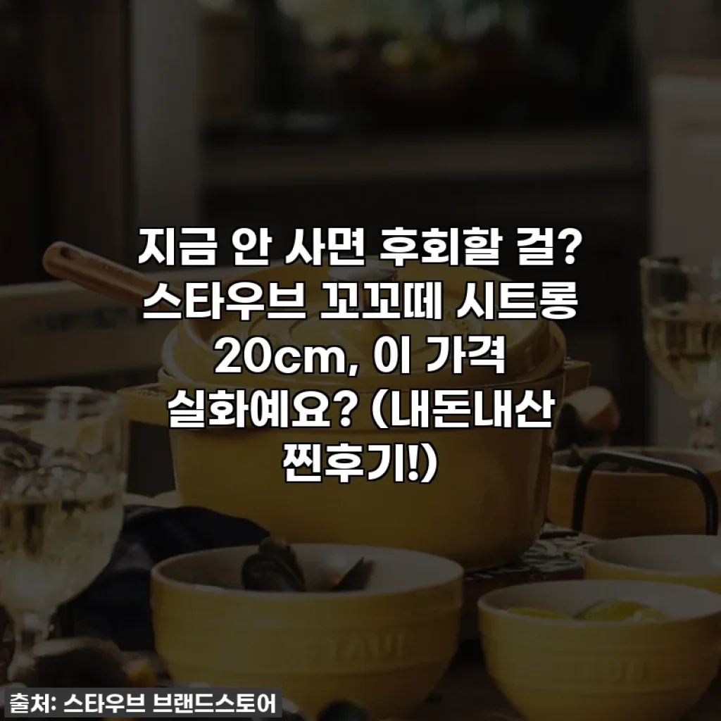 지금 안 사면 후회할 걸? 스타우브 꼬꼬떼 시트롱 20cm, 이 가격 실화예요? (내돈내산 찐후기!)