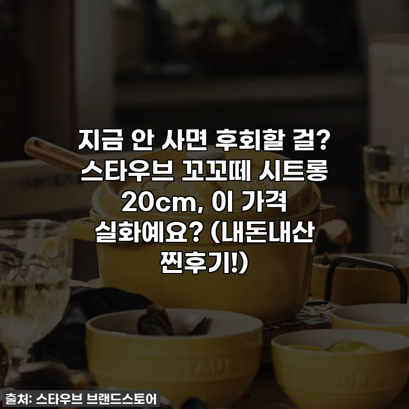 지금 안 사면 후회할 걸? 스타우브 꼬꼬떼 시트롱 20cm, 이 가격 실화예요? (내돈내산 찐후기!)