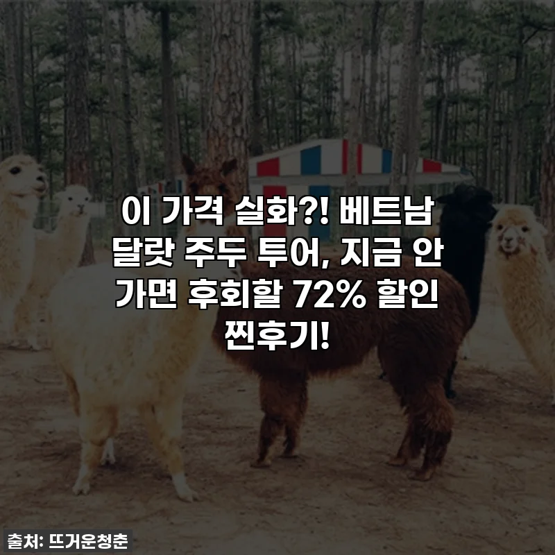 이 가격 실화?! 베트남 달랏 주두 투어, 지금 안 가면 후회할 72% 할인 찐후기!