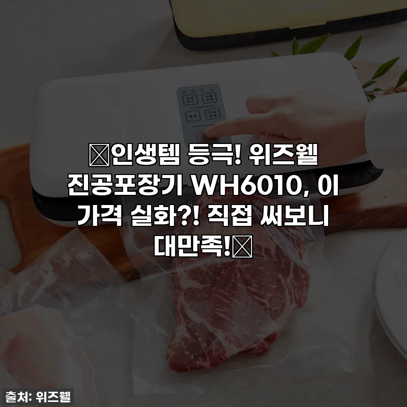 ⭐인생템 등극! 위즈웰 진공포장기 WH6010, 이 가격 실화?! 직접 써보니 대만족!⭐