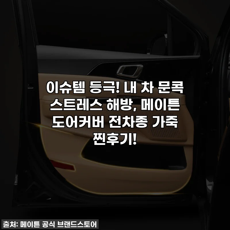 이슈템 등극! 내 차 문콕 스트레스 해방, 메이튼 도어커버 전차종 가죽 찐후기!