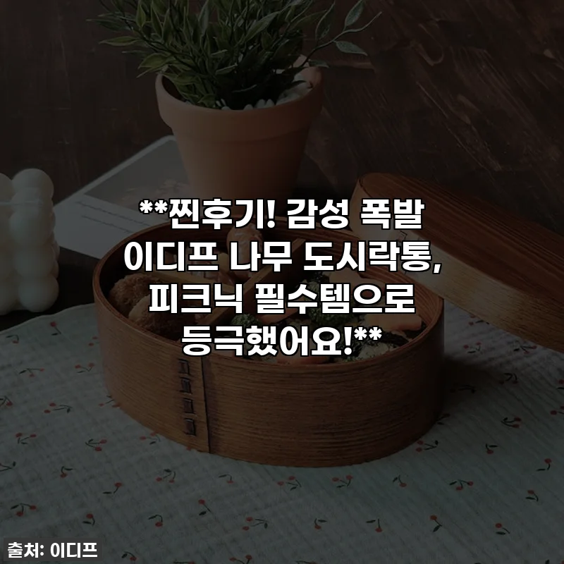 **찐후기! 감성 폭발 이디프 나무 도시락통, 피크닉 필수템으로 등극했어요!**