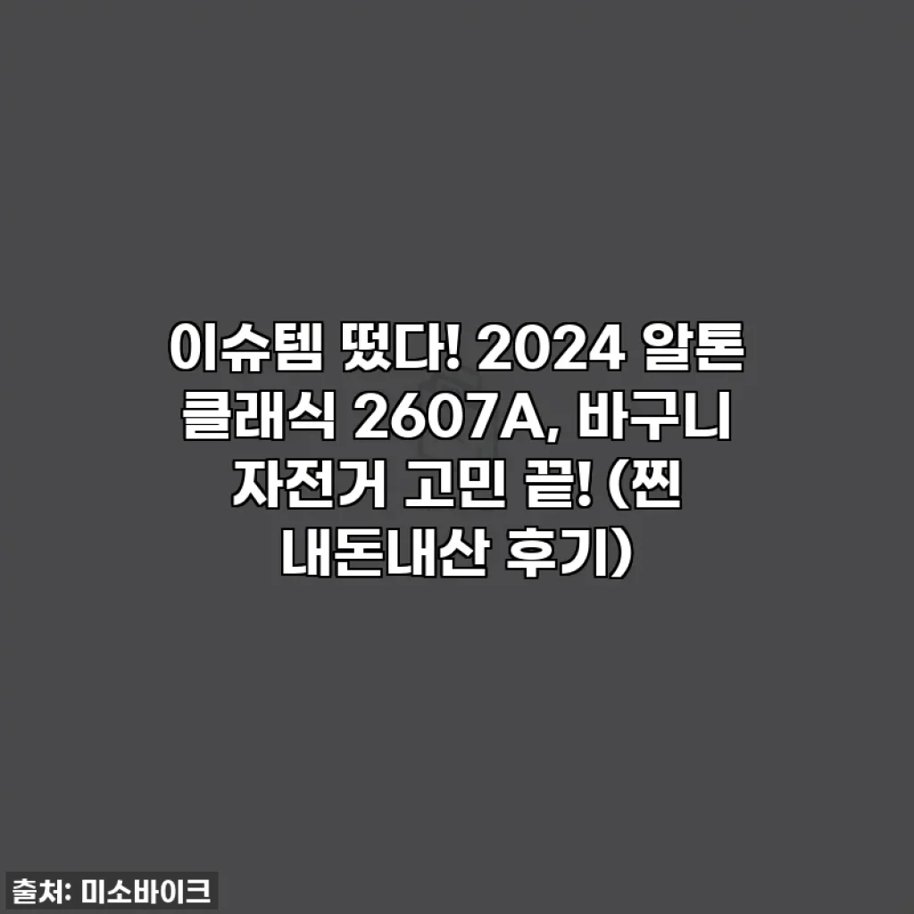 이슈템 떴다! 2024 알톤 클래식 2607A, 바구니 자전거 고민 끝! (찐 내돈내산 후기)