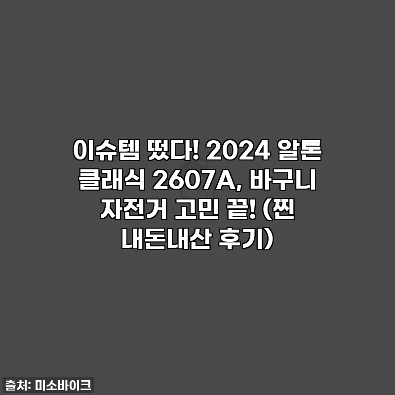 이슈템 떴다! 2024 알톤 클래식 2607A, 바구니 자전거 고민 끝! (찐 내돈내산 후기)