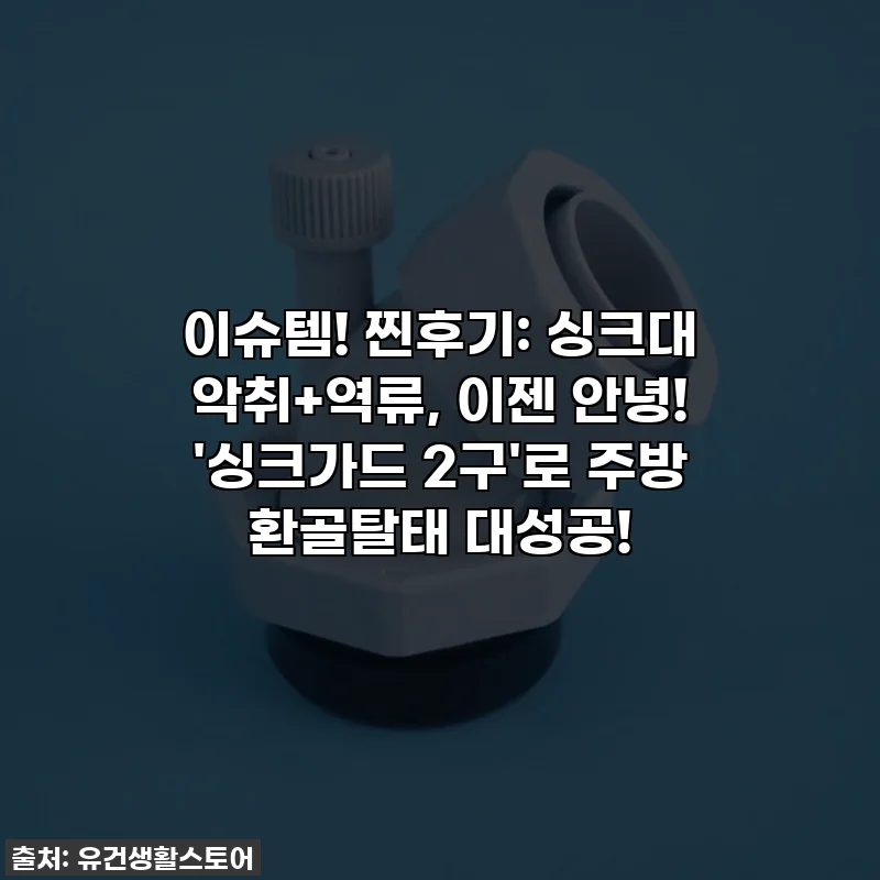 이슈템! 찐후기: 싱크대 악취+역류, 이젠 안녕! '싱크가드 2구'로 주방 환골탈태 대성공!