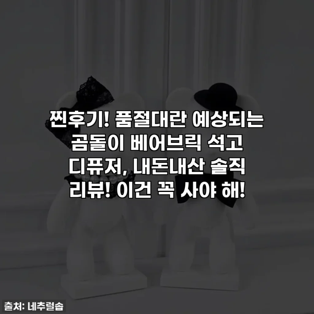 찐후기! 품절대란 예상되는 곰돌이 베어브릭 석고 디퓨저, 내돈내산 솔직 리뷰! 이건 꼭 사야 해!